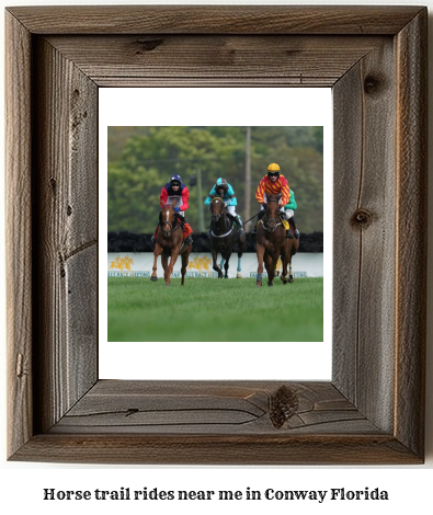 horse trail rides near me in Conway, Florida